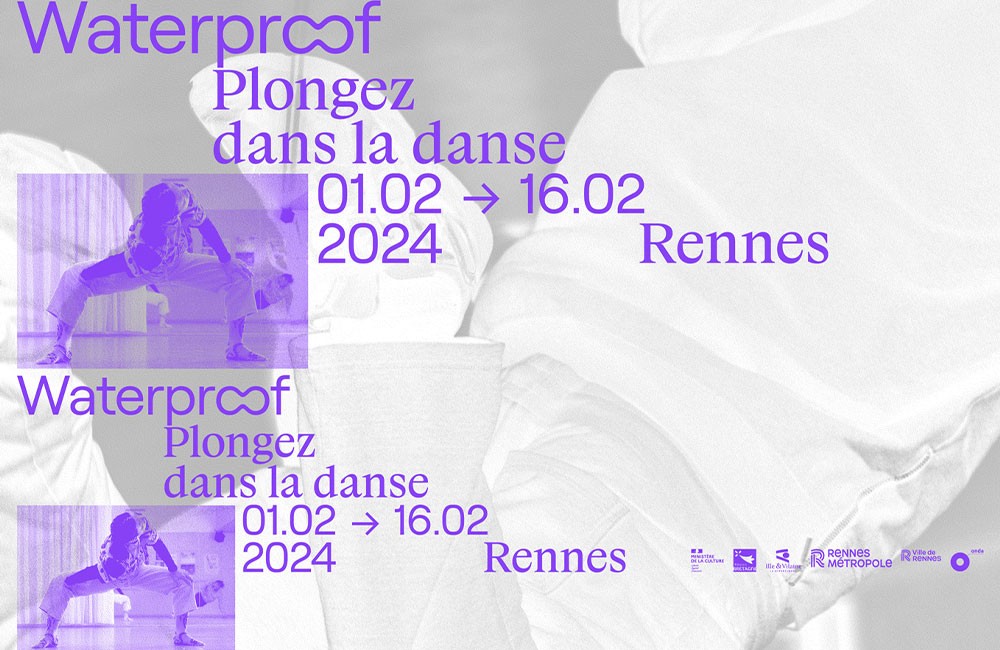 wp24-1000x650